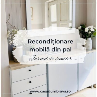 cum am vopsit mobila